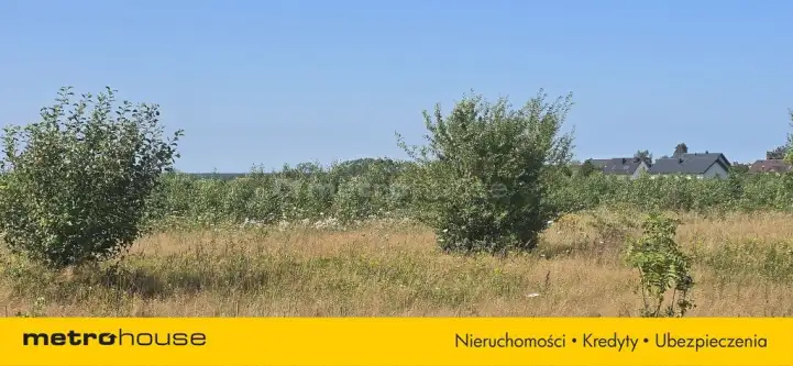 Strzelno ,  Szkolna   9