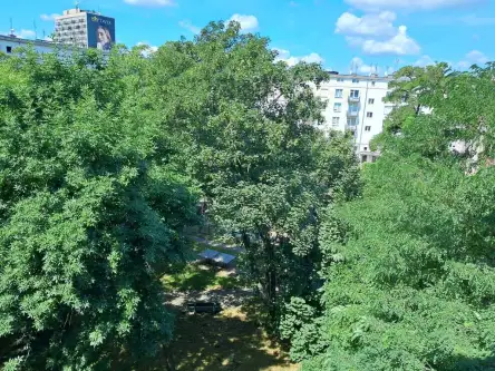 Wrocław ,  pl. Muzealny   9