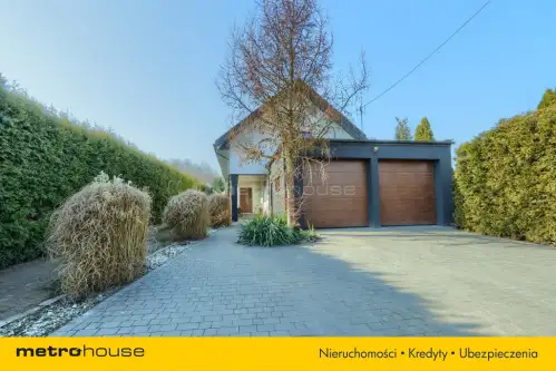 Dąbrówka wielka   13