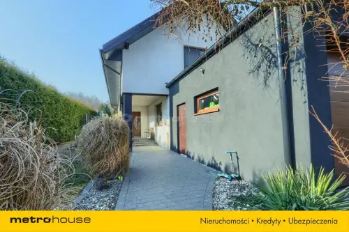 Dąbrówka wielka   14