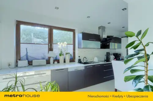 Dąbrówka wielka   17