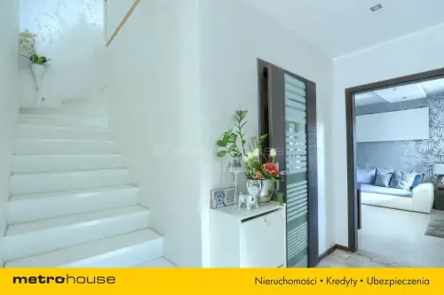 Dąbrówka wielka   2