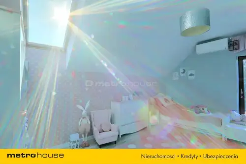 Dąbrówka wielka   3