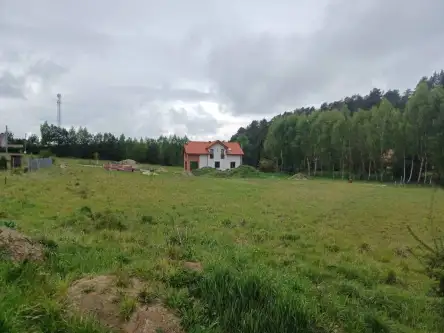 Leźno ,  Jagodowe Wzgórze   2