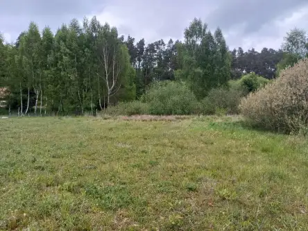 Leźno ,  Jagodowe Wzgórze   6