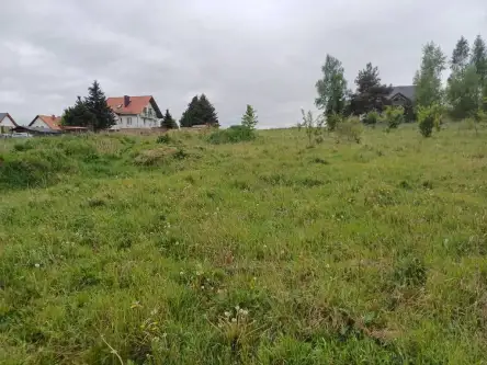 Leźno ,  Jagodowe Wzgórze   8