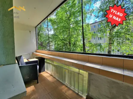 Kraków ,  Leonida Teligi   8