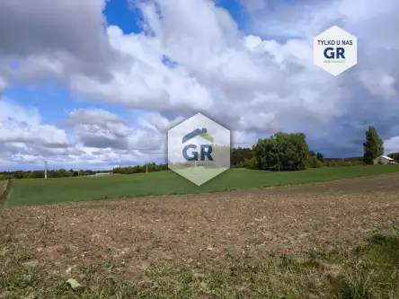 Skorzewo ,  Łubinowa   11