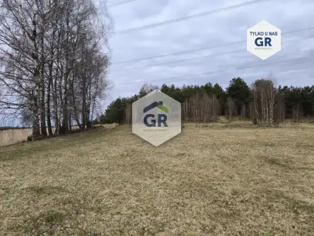  Skorzewo   Łubinowa 