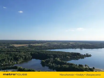 Niewiesze ,  Sosnowa   11