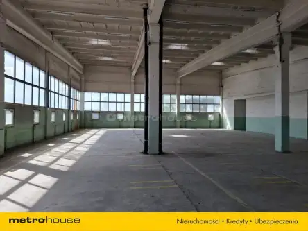 Toruń ,  Skłodowskiej-Curie   5