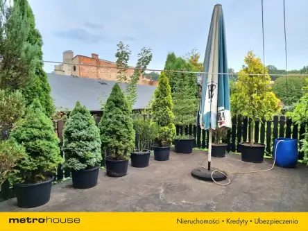 Żywiec ,  Sienkiewicza   4