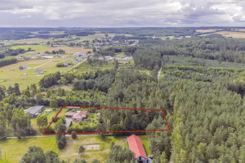 Dąbrówka ,  Sosnowa   5