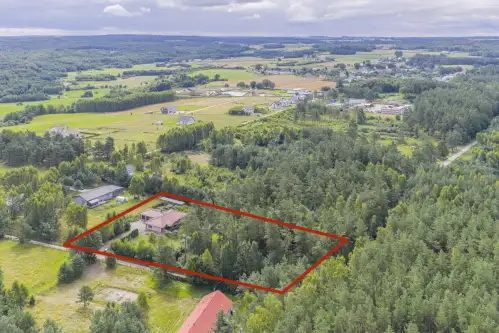 Dąbrówka ,  Sosnowa   7