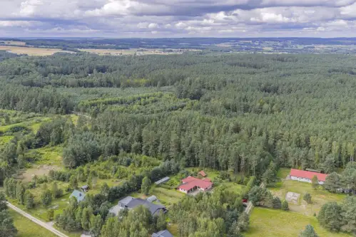 Dąbrówka ,  Sosnowa   9