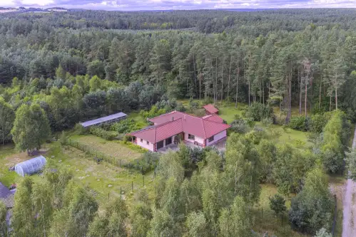 Dąbrówka ,  Sosnowa   13