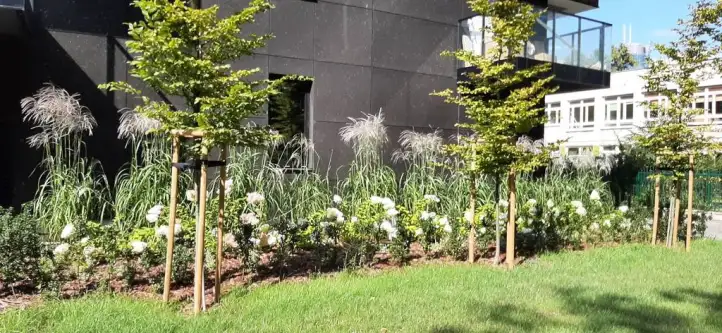 Warszawa ,  Szarych Szeregów   9