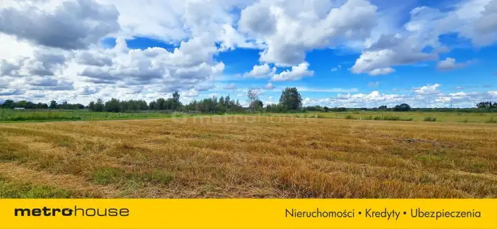 Karwieńskie błoto pierwsze ,  Kwiatowa   8