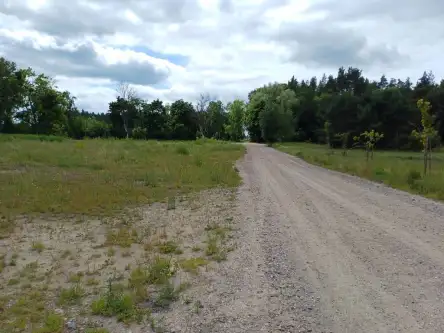 Trzcińsk ,  Dębowa   6