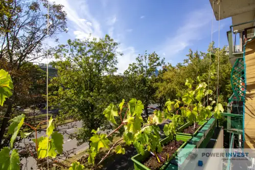 Kraków ,  Aleja Pokoju   16