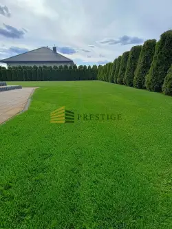 Stanisławów pierwszy   14