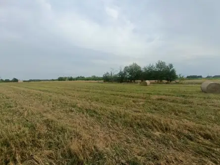  Tąpkowice   Brynicka 