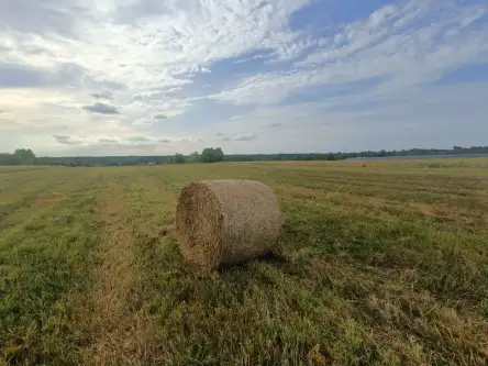 Tąpkowice ,  Brynicka   4