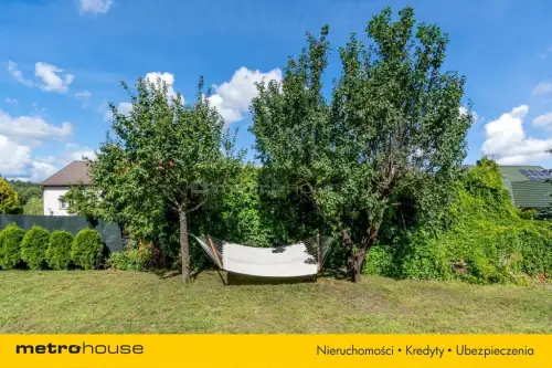 Mrągowo ,  Widok   8