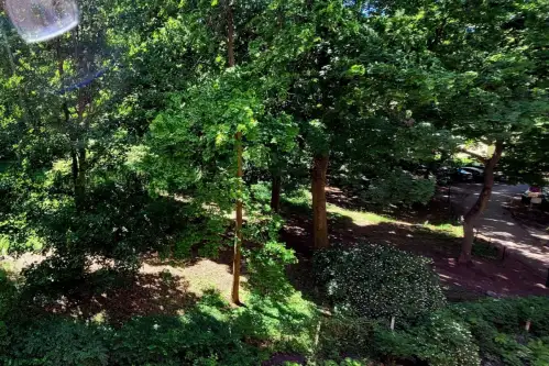 Bydgoszcz ,  Grudziądzka   17