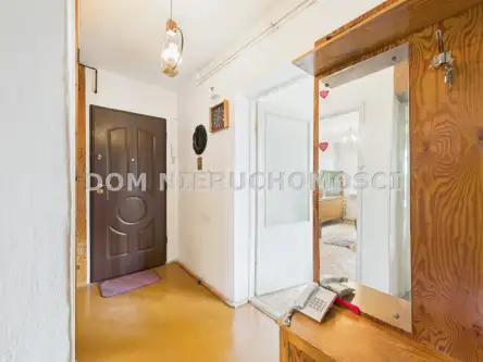 Olsztyn ,  Małeckiego   10