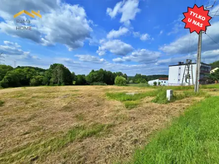 Wola Radziszowska ,  Adama Mickiewicza   2