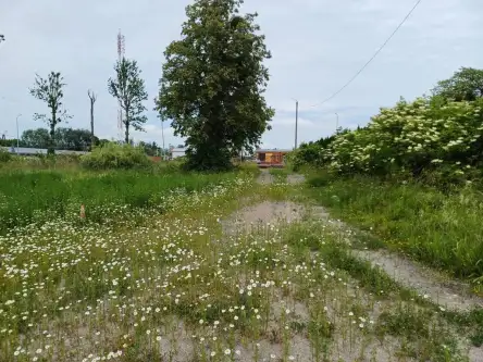 Malbork ,  Toruńska   5