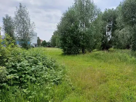 Malbork ,  Toruńska   6