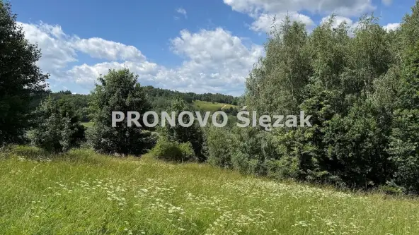 Michałkowa ,  Michałkowa   10