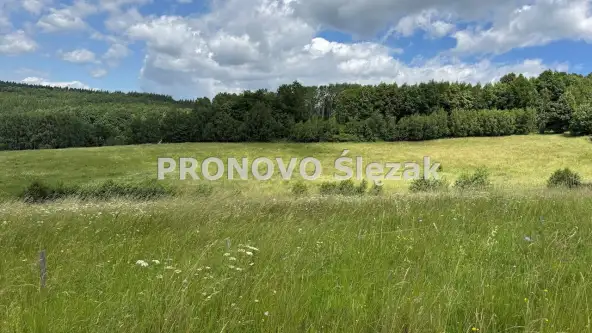 Michałkowa ,  Michałkowa   5