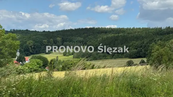 Michałkowa ,  Michałkowa   4