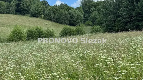 Michałkowa ,  Michałkowa   2