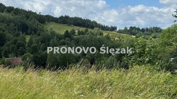 Michałkowa ,  Michałkowa   4