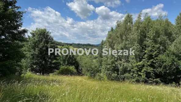 Michałkowa ,  Michałkowa   7