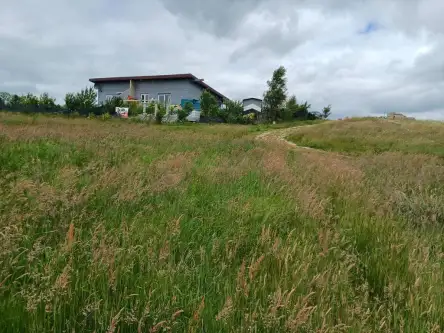 Kamela ,  Wiktorii   7