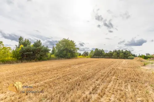 Marysin ,  Chmielna   17