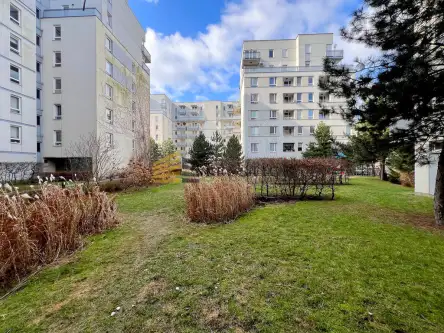 Warszawa ,  Rajska   10