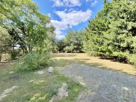 Zemborzyce tereszyńskie   3