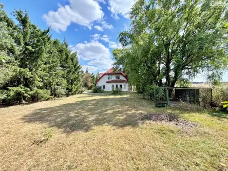 Zemborzyce tereszyńskie   4