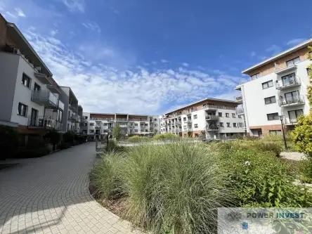 Kraków ,  Jana Kantego Federowicza   5