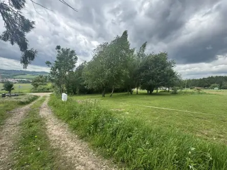 Kudowa-zdrój ,  Słoneczna   2