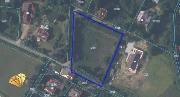 Panieńszczyzna   11