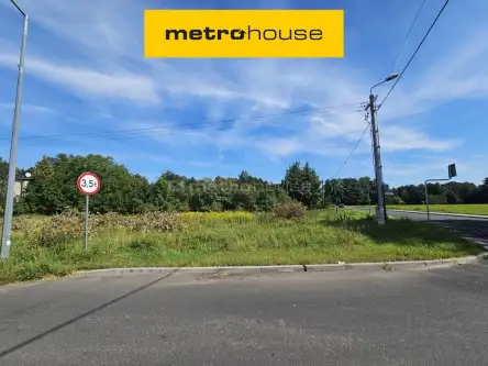  Mała nieszawka   Toruńska 