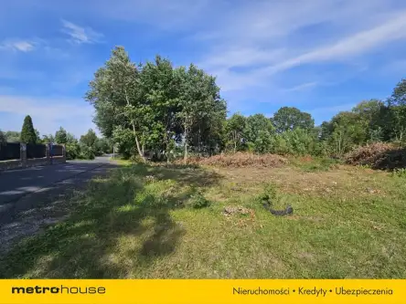 Mała nieszawka ,  Toruńska   3