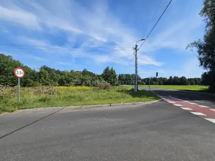 Mała nieszawka ,  Toruńska   4